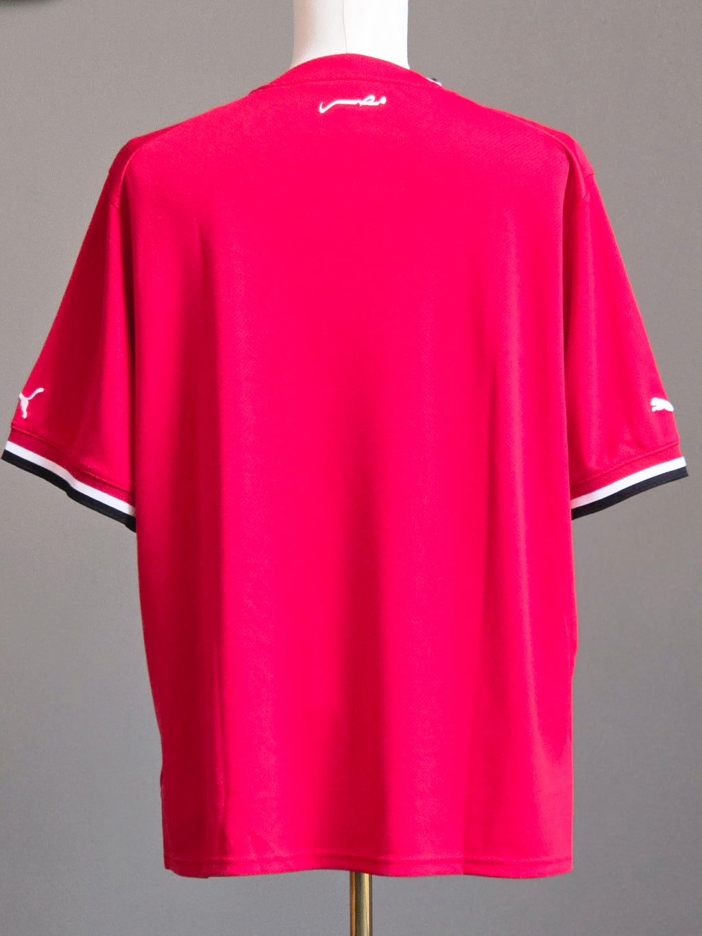 Egypt 2022 Home XL - (BNWOT)