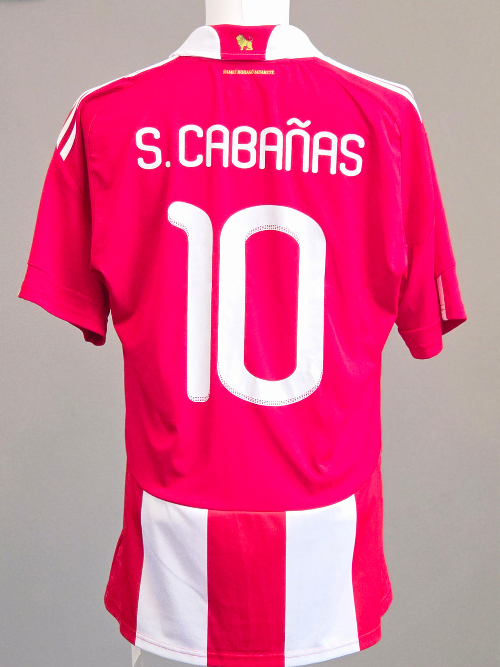 Paraguay 2010 Home Kit L Cabañas (9/10)