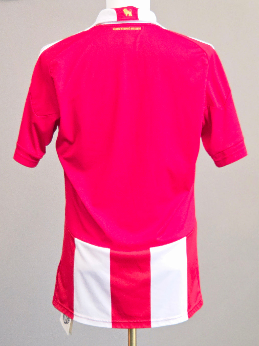 Paraguay 2010 Home Kit L (8/10)
