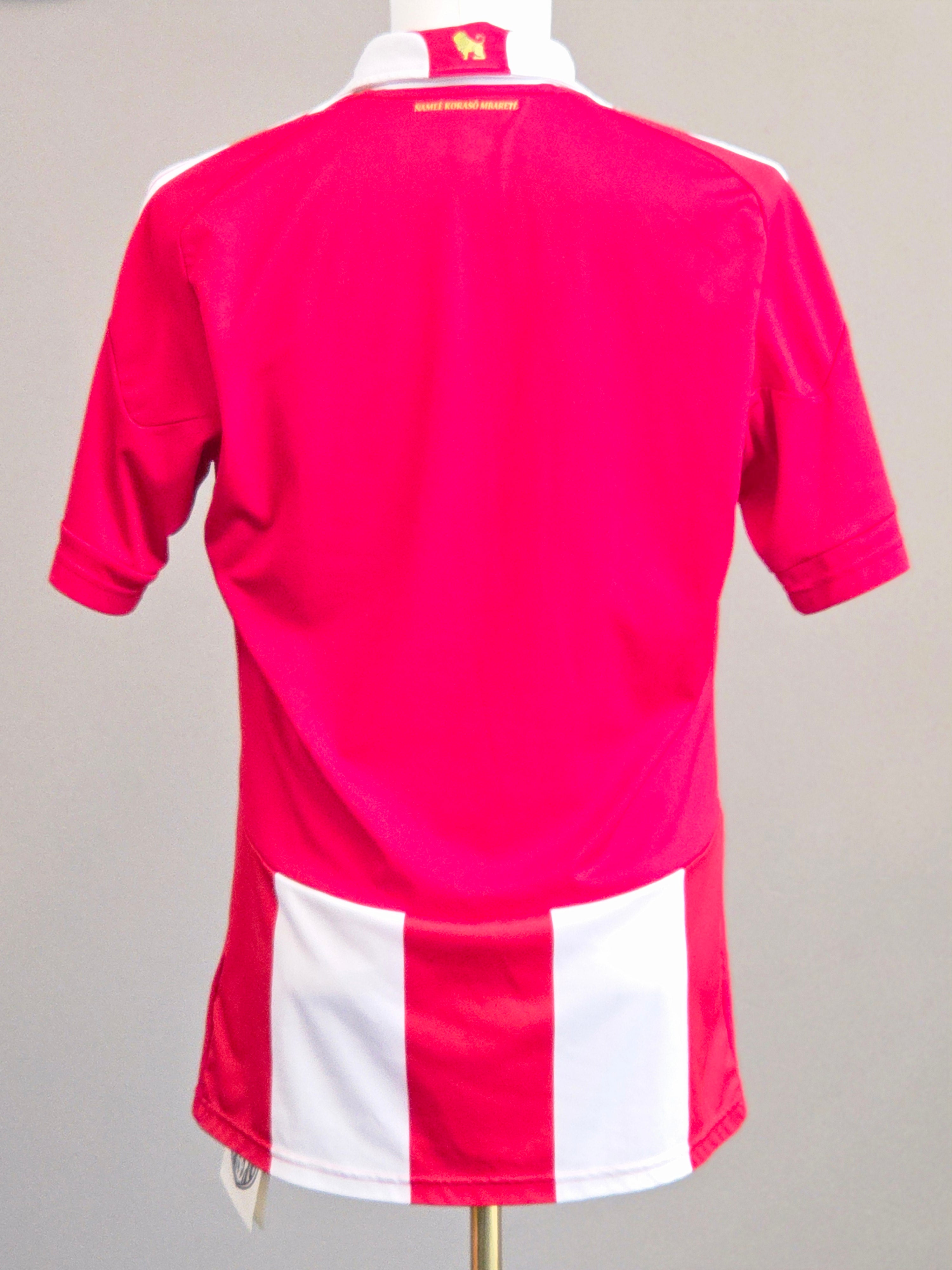 Paraguay 2010 Home Kit L (8/10)